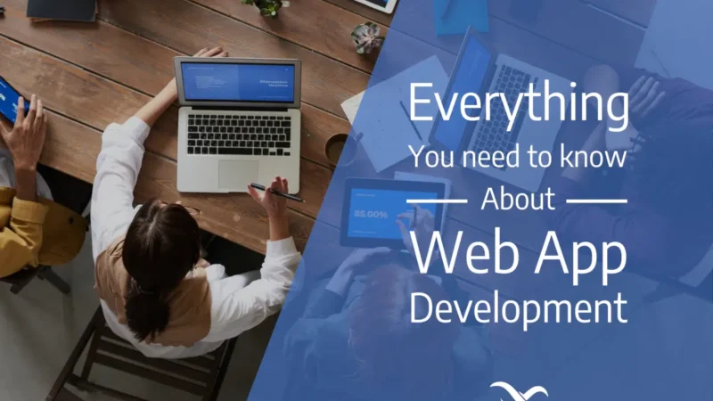 Everything-you-need-to-know-about-Web-App-Development